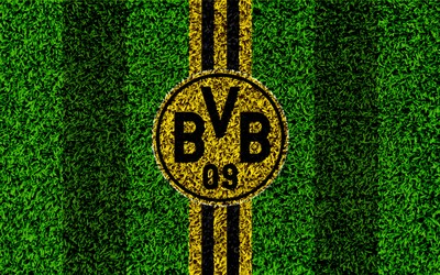 环亚体育快讯-他们证明团队大于个人